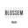 Logo van Blossem Breda