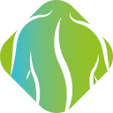 Logo van Belangenvereniging Patiënten Chiropractie