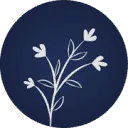 Logo Saskia Driezen Uitvaartzorg