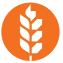 Logo van Van Aarsen International