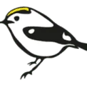 Logo van Goldcrest Nature Tours