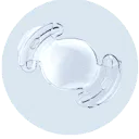 Logo van AkkoLens International BV