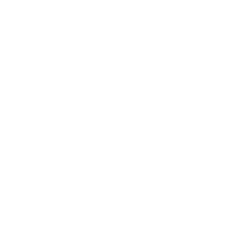 Logo van Little Concepts