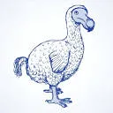 Logo van Edelsmederij De Blauwe Dodo
