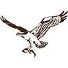 Logo van Osprey Group