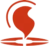 Logo VST Fire Solutions