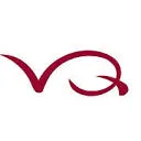 Logo Vinos QuiXote
