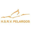 Logo van H.S.R.V. Pelargos