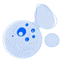 Logo van AI4Cosmetics