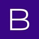 Logo BIS