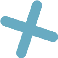 Logo Lems Human Capital