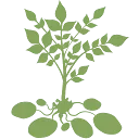 Logo van De Aardappelboer
