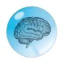 Logo Brainclinics Foundation