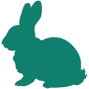 Logo Dierenkliniek Amsterdam