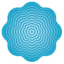 Logo confidon