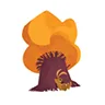 Logo van Mijn naam is Haas