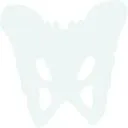 Logo van PelviPlus