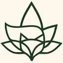 Logo BeFox - Detox