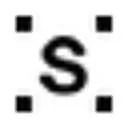 Logo van The Substitute