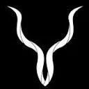 Logo Yildiz AND Partners