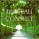 Logo Berceau Consult