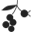 Logo Hierbas de las Dunas