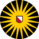 Logo van Debye Institute for Nanomaterials Science