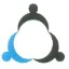 Logo van Nijmeijer EADS