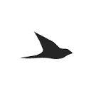 Logo van Ekster®