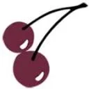 Logo van Cherridata