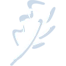 Logo Boomkwekerij Coonen