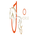 Logo JasonHorse