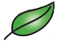 Logo Storm Study Association Sustainability Sciences
