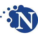 Logo van Nemesys ICT Groep