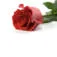 Logo Annet Flowers