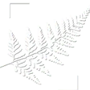Logo van De Padvinderij