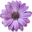 Logo van AroBac