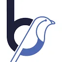 Logo van Birdie Design