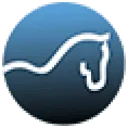 Logo Stijg Coaching
