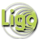 Logo van Ligo Advies