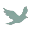 Logo VOF.EARTH