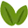 Logo CyBear