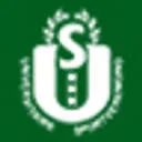 Logo van US handbal