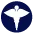 Logo Nurses for Peace