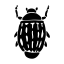 Logo Gyrinus natans