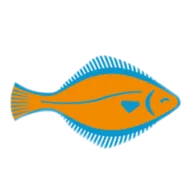 Logo van Platvis Holland B.V.