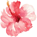 Logo van Temploola