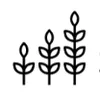 Logo van Savour Coaching