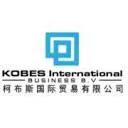 Logo van KOBES Int Business B.V.