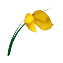 Logo De Braampeel